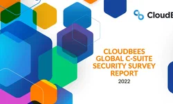 Featured image of post CloudBees 全球企业高管安全管理调查报告-2022年